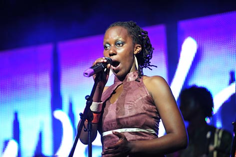 Photo of Qwela (view larger)